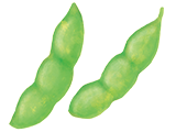 枝豆